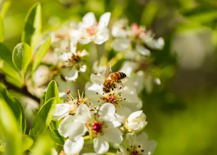 Canales Vakantieboerderij Dorgali