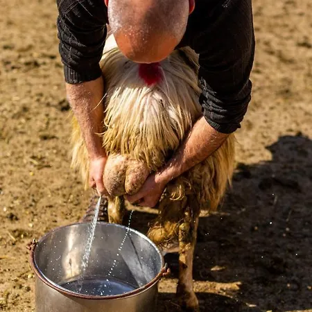 Farmház Canales *